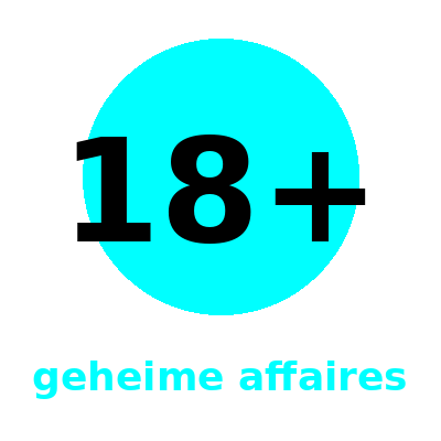 GEHEIME AFFAIRES appvoorbeeld